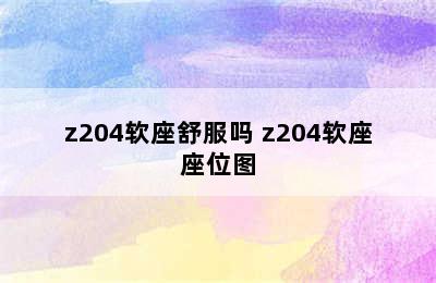 z204软座舒服吗 z204软座座位图